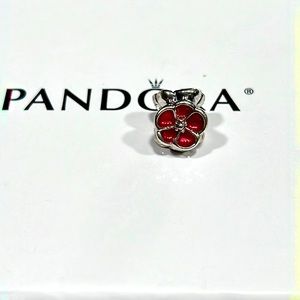 Pandora Charm
